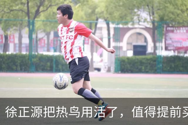 徐正源把热鸟用活了，值得提前买断 17岁新星有国脚潜力 瓦吉奇被弃