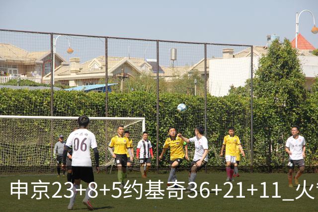 申京23+8+5约基奇36+21+11 火箭险胜掘金6连胜