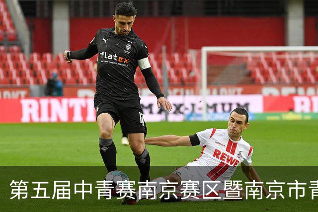 第五届中青赛南京赛区暨南京市青少年足球联赛男子U15组收官